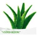 Aloe Extract 100: 1 Aloe Vera Whole Leaf Congelado em Pó